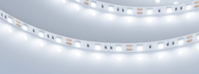 e1019a5a58e0cbc1d7be353ba1ef6c37